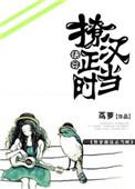 撩汉全攻略pdf