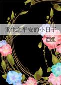 平安的重生日子txt微盘