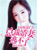 再婚嫁豪门免费阅读全文最新章节