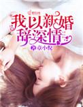 我以新婚辞深情 在线阅读
