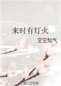 来时有灯火完整无重复