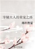 宰辅夫人的荣宠之路宝书网