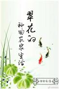 翠花的种田农家生活作者卿卿