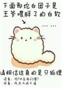 尾巴被扯了啵一声