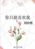 你只能喜欢我用日语翻译