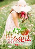 名门宠婚全文免费阅读