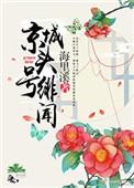 京城绯闻完整版