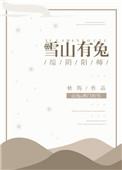 有一个雪山故事的