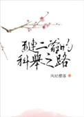 红楼琏二爷完整版
