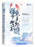猫爷驾到束手就寝好看吗