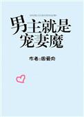 男主就是宠妻狂魔陆准书包