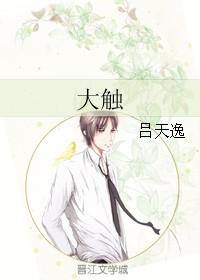 大触吕天逸txt百度