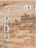 汴京春深第128章