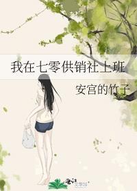 七零供销社当售货员