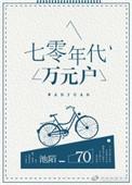 重生70年代万元户