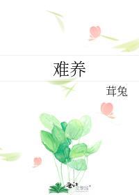 德牧几个月最难养