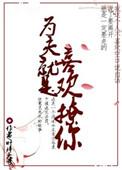 为夫则刚在线阅读