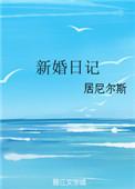 新婚日记讲的什么