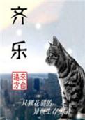 齐乐手机