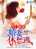军门蜜爱娇妻难驯