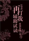 再打我辅助试试全文