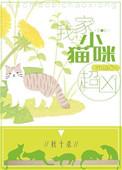 我家小猫咪超级凶