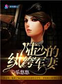 陆少帅
