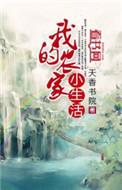 我的小农庄安装