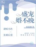 盛婚独宠