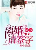 厉少离婚请签字