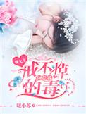 顾先生不放手免费阅读