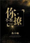 你不准撩番外