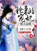 邪王追妻全文阅读