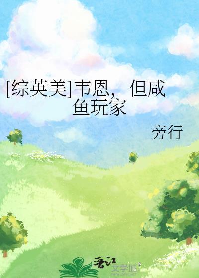 韦恩但咸鱼玩家TXT百度