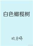 白色橄榄树电视剧免费观看全集完整
