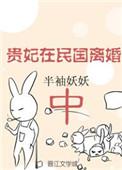贵妃在民国离婚中男主洁不洁