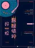 好一粒暴躁情种讲了什么