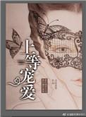 上等宠爱淼淼