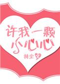 许我一颗小心心txt