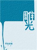 雕光by平生好剑txt补番