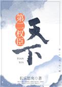 天下第二全书