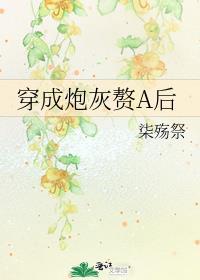 穿成炮灰赘婿a