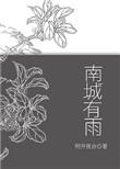 南城有雨结局什么意思