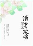快穿清宫攻略