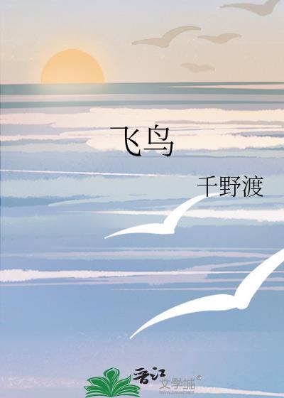 飞鸟云官网github发布页面