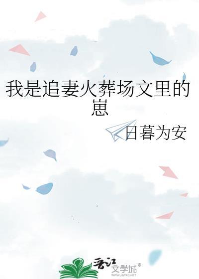 追妻火葬场是什么