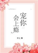 宠你上瘾的最新章节内容