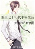 重生七十年代奋斗生活