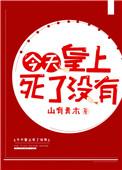 皇上今天病好了吗四爱