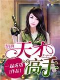 天才高手叶天龙的身份